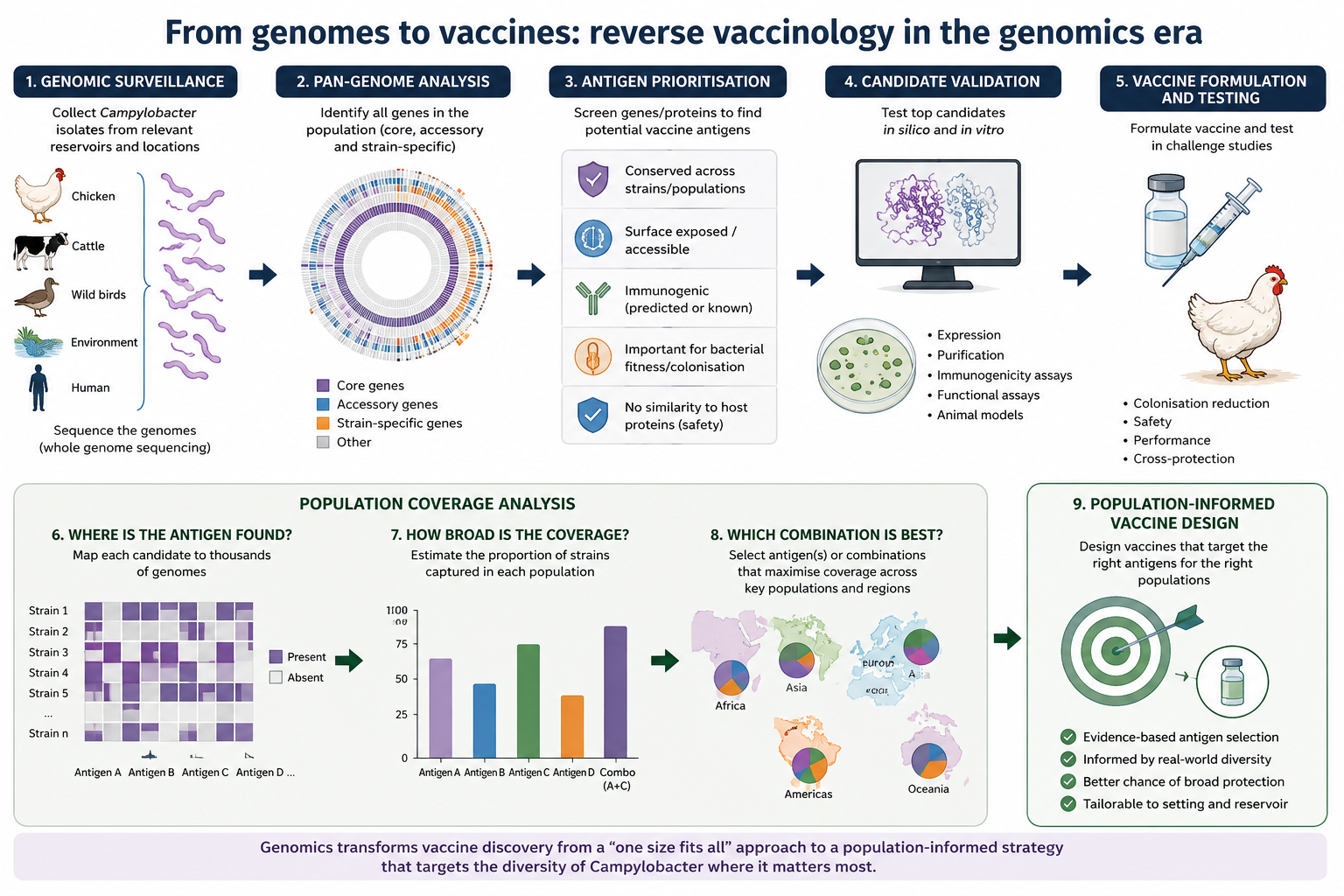 Reverse-vaccinology schematic showing the path from genomic surveillance to population-informed vaccine design