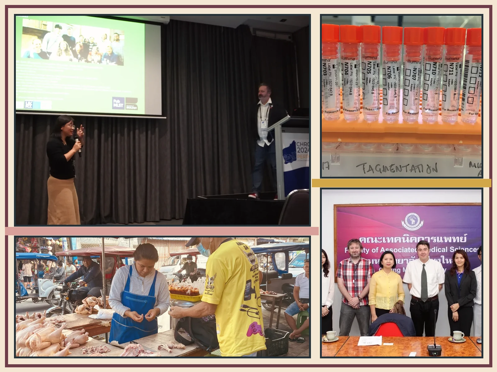 Collage showing a scientific presentation, sequencing samples, an international partner meeting and poultry-market fieldwork