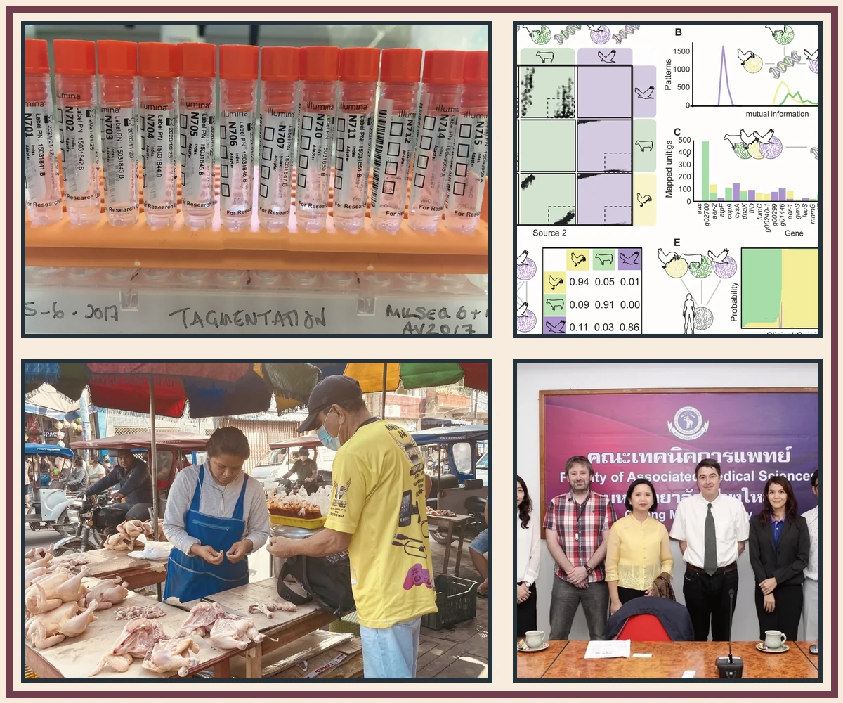 Collage showing sequencing samples, a genomic figure, poultry-market fieldwork and an international research meeting