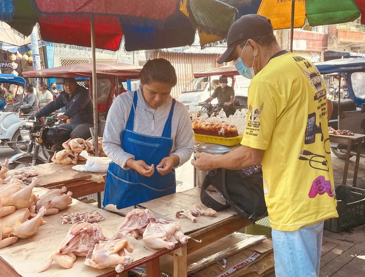 Poultry and food-system setting in Southeast Asia