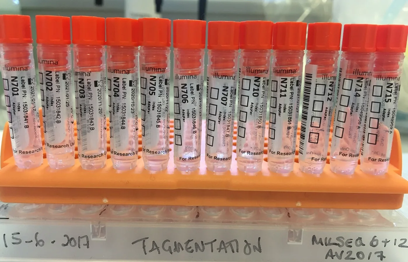 Prepared sequencing-library tubes in a laboratory rack
